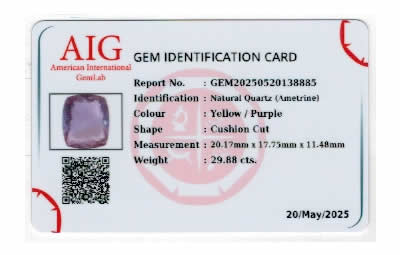 Gem Report