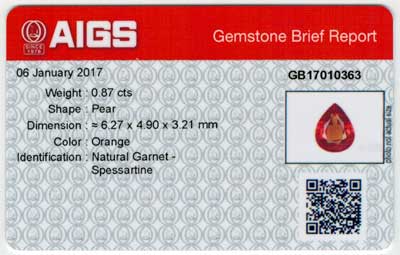 Gem Report