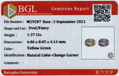 Gem Report