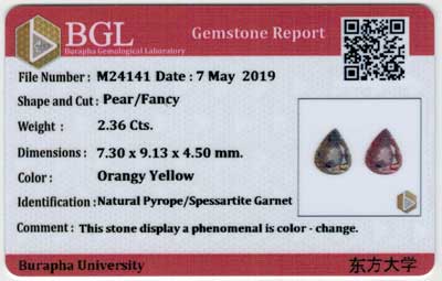 Gem Report