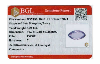 Gem Report
