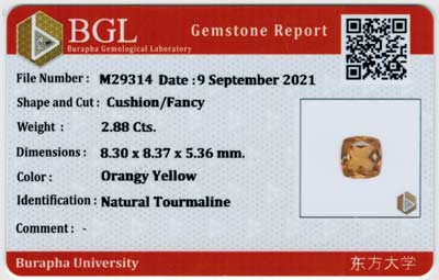 Gem Report