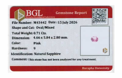 Gem Report
