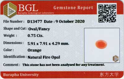 Gem Report