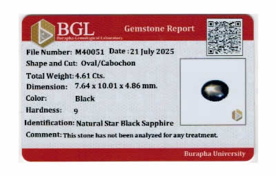 Gem Report