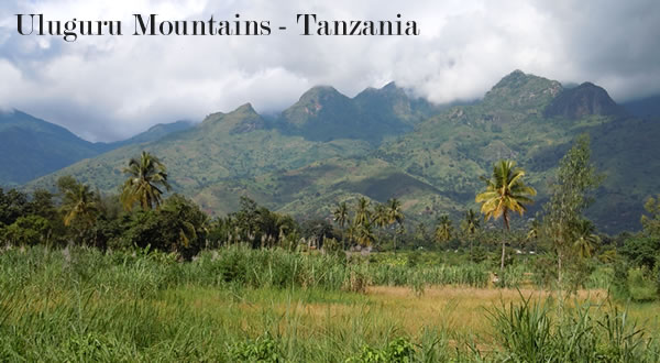 Фотографии гор Улугуру в Танзании.