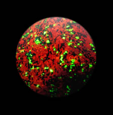 Флуоресцентные кальцитовые (красные) и виллемитовые (зеленые) сферы в УФ-свете