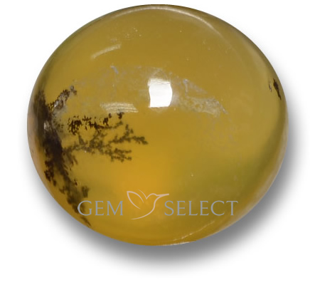 Драгоценные камни Moss Opal от GemSelect - Большое изображение