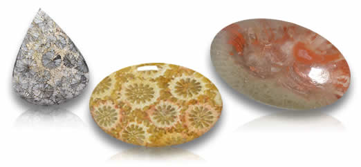 Коралловые драгоценные камни
