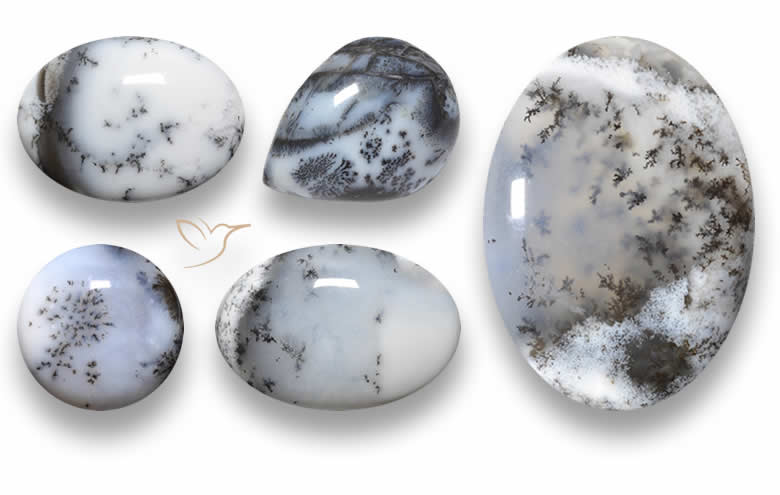 Shop Loose Dendritic Agate - Natural Dendritic Agate Gemstones, Cabochons, and Beads