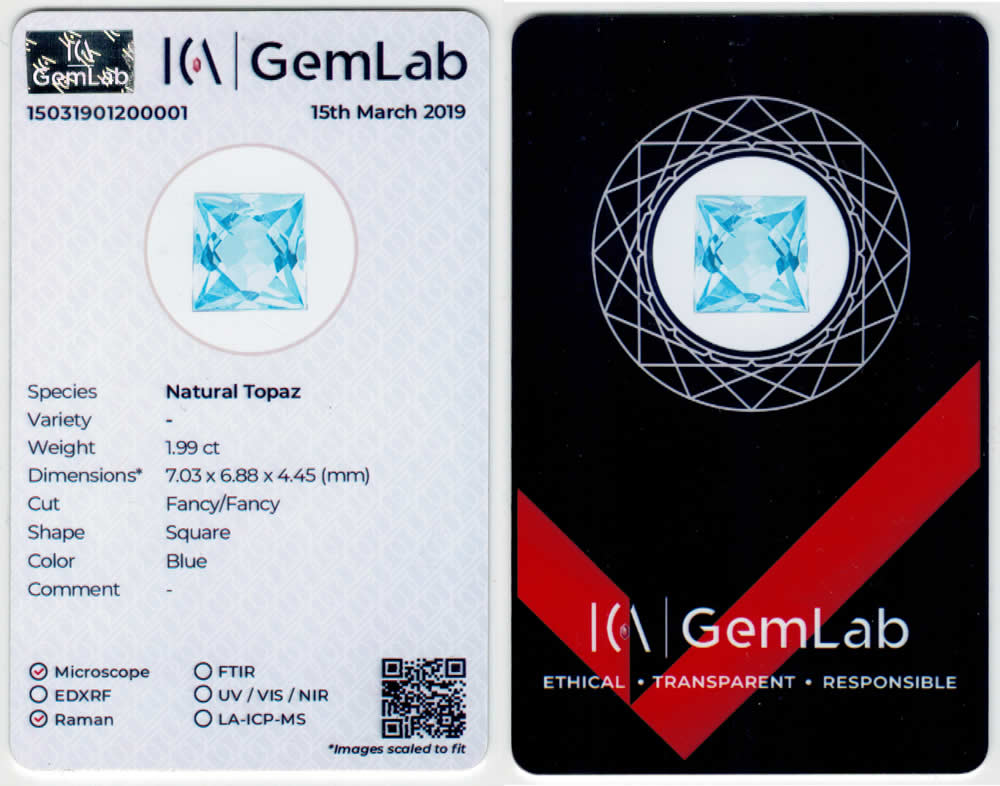 Краткий идентификационный отчет ICA GemLab