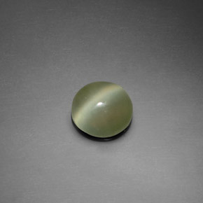Натуральный зелёный actinolite cat's eye 1,39 карата огранка круг, прозрачный