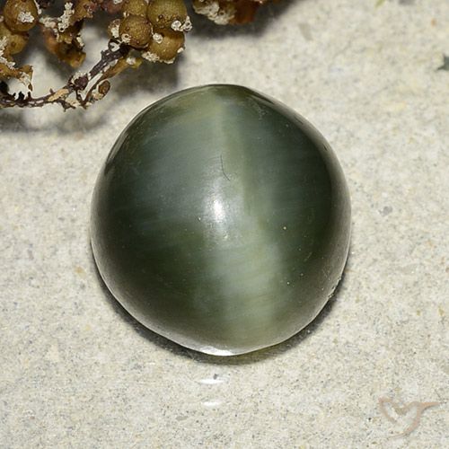7.39ct Натуральный Землисто-зеленый Актинолит Кошачий глаз, Круглый, Полупрозрачный