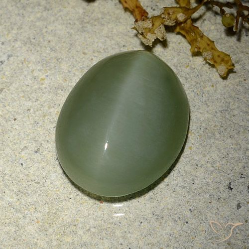 6.77ct Натуральный Средне-светло-зеленый Актинолит Кошачий Глаз, Овал, Полупрозрачный