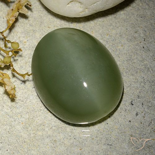 12.38ct Натуральный Армейский Зеленый Актинолит Кошачий Глаз, Овал, Полупрозрачный