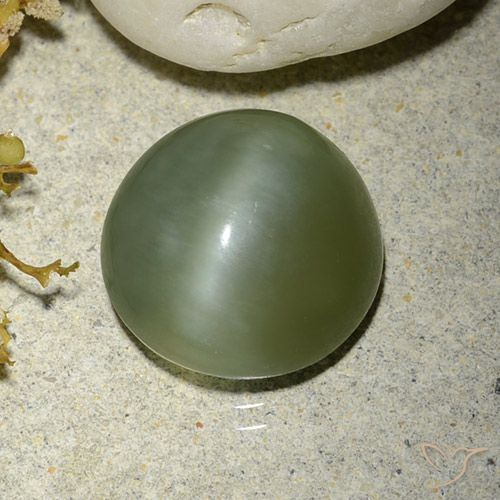 5.56ct Натуральный Теплый зеленый Актинолит Кошачий Глаз, Круглый, Полупрозрачный