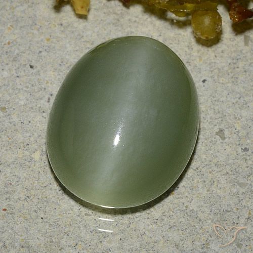 6.83ct Натуральный Теплый зеленый Актинолит Кошачий Глаз, Овал, Полупрозрачный