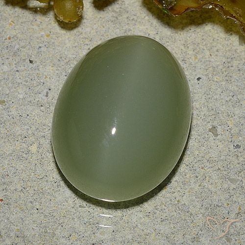 6.92ct Натуральный Армейский Зеленый Актинолит Кошачий Глаз, Овал, Полупрозрачный