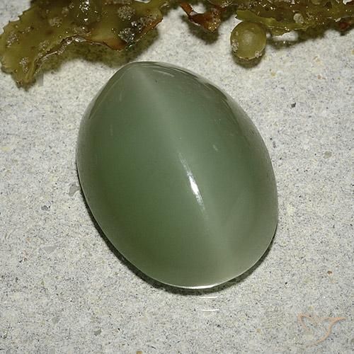 Натуральный зелёный actinolite cat's eye 8,04 карата огранка овал, полупрозрачный