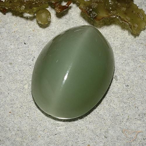 Натуральный зелёный actinolite cat's eye 8,04 карата огранка овал, полупрозрачный
