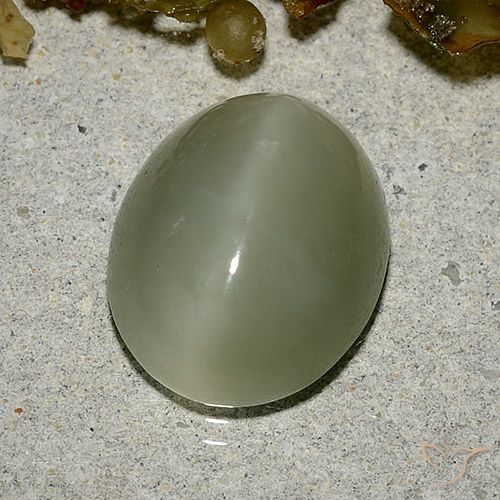 5.33ct Натуральный Коричневато-зеленый Актинолит Кошачий Глаз, Овал, Полупрозрачный