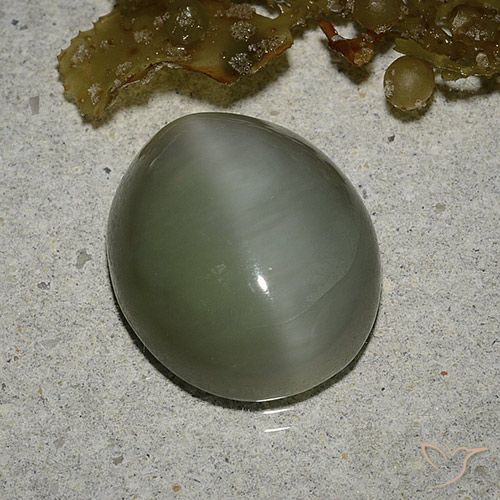 6.78ct Натуральный Средний зеленый Актинолит Кошачий Глаз, Овал, Полупрозрачный