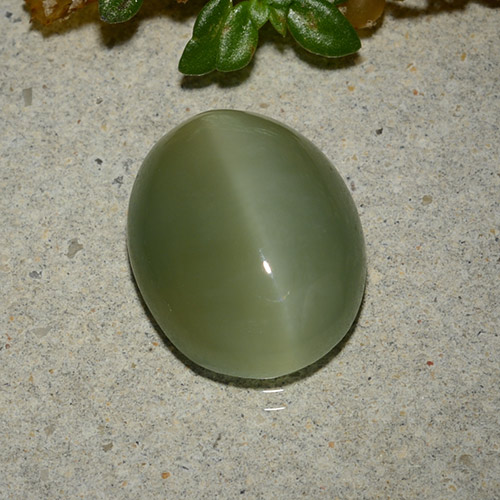 Натуральный зелёный actinolite cat's eye 5,33 карата огранка овал, полупрозрачный