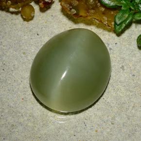 Натуральный зелёный actinolite cat's eye 9,08 карата огранка овал, полупрозрачный