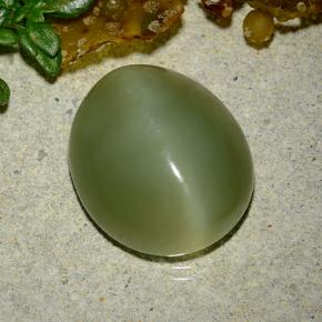 Натуральный зелёный actinolite cat's eye 9,08 карата огранка овал, полупрозрачный