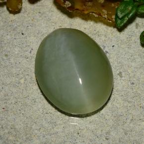 Натуральный зелёный actinolite cat's eye 4,86 карата огранка овал, полупрозрачный