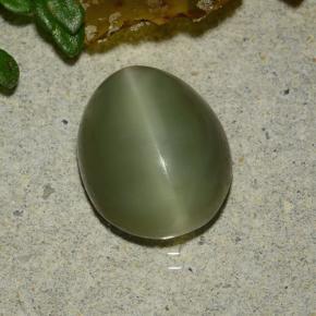 Натуральный зелёный actinolite cat's eye 3,59 карата огранка овал, полупрозрачный