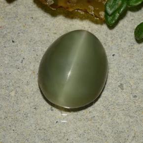 Натуральный зелёный actinolite cat's eye 3,59 карата огранка овал, полупрозрачный