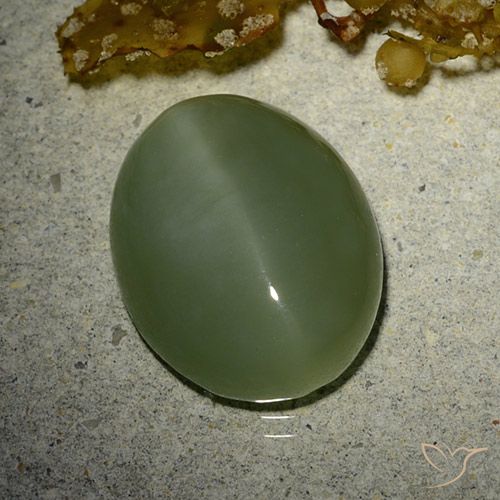 7.01ct Натуральный Армейский Зеленый Актинолит Кошачий Глаз, Овал, Полупрозрачный