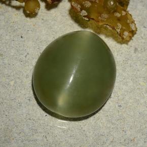 Натуральный зелёный actinolite cat's eye 5,70 карата огранка овал, полупрозрачный