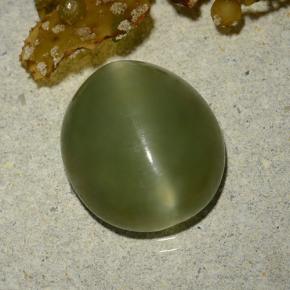Натуральный зелёный actinolite cat's eye 5,70 карата огранка овал, полупрозрачный