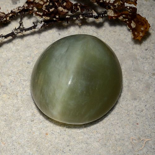 8.89ct Натуральный Темно-зеленый Актинолит Кошачий Глаз, Овал, Полупрозрачный