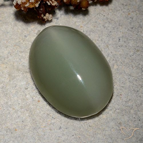 8.62ct Натуральный Средний зеленый Актинолит Кошачий Глаз, Овал, Полупрозрачный