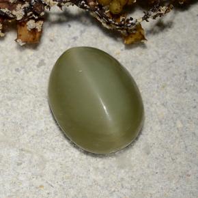 Натуральный зелёный actinolite cat's eye 2,78 карата огранка овал, полупрозрачный