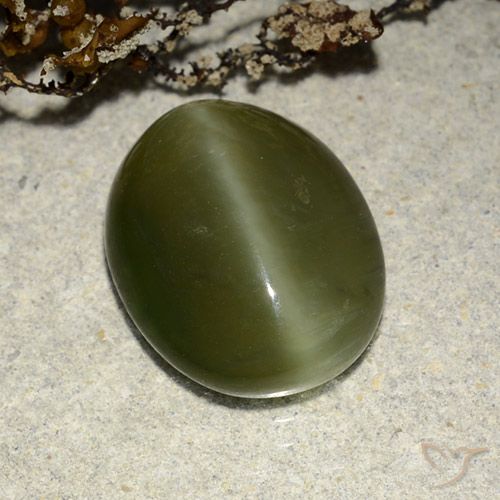 5.83ct Натуральный Темно-зеленый Актинолит Кошачий Глаз, Овал, Полупрозрачный