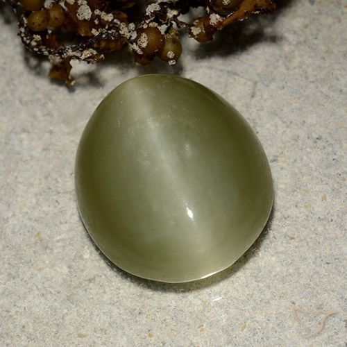 6.75ct Натуральный Теплый зеленый Актинолит Кошачий Глаз, Овал, Полупрозрачный