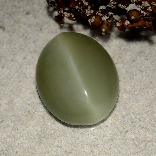 Натуральный зелёный actinolite cat's eye 5,41 карата огранка овал, полупрозрачный