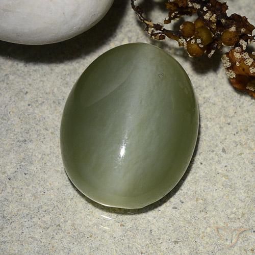 8.99ct Натуральный Мшистый зеленый Актинолит Кошачий Глаз, Овал, Полупрозрачный