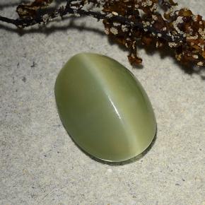 Натуральный зелёный actinolite cat's eye 4,89 карата огранка овал, полупрозрачный