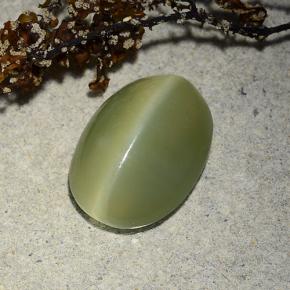 Натуральный зелёный actinolite cat's eye 4,89 карата огранка овал, полупрозрачный
