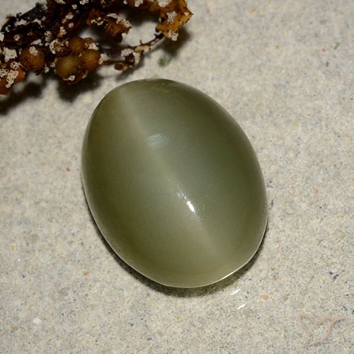 7.05ct Натуральный Темно-зеленый Актинолит Кошачий Глаз, Овал, Полупрозрачный