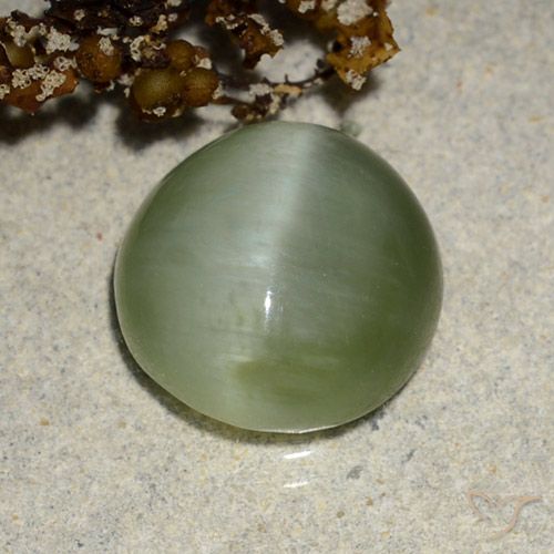 4.90ct Натуральный Теплый зеленый Актинолит Кошачий Глаз, Овал, Полупрозрачный