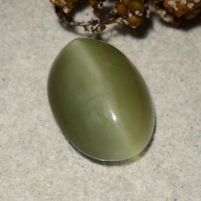 Натуральный зелёный actinolite cat's eye 4,69 карата огранка овал, полупрозрачный