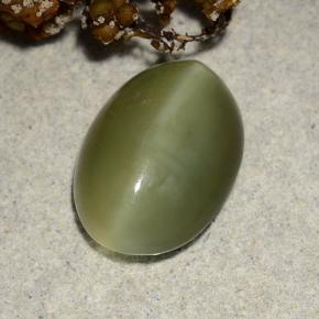 Натуральный зелёный actinolite cat's eye 4,69 карата огранка овал, полупрозрачный