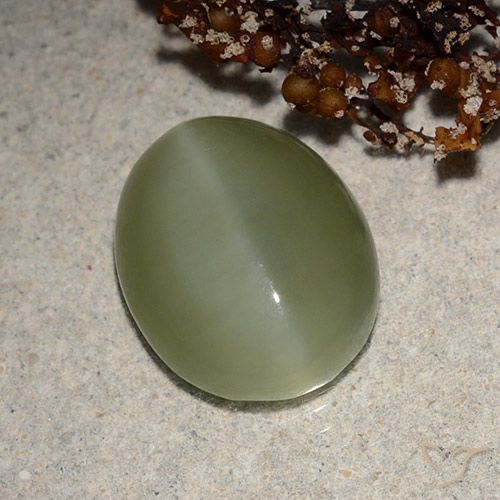 6.21ct Натуральный Серовато-зеленый Актинолит Кошачий Глаз, Овал, Полупрозрачный