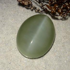 Натуральный зелёный actinolite cat's eye 8,86 карата огранка овал, полупрозрачный